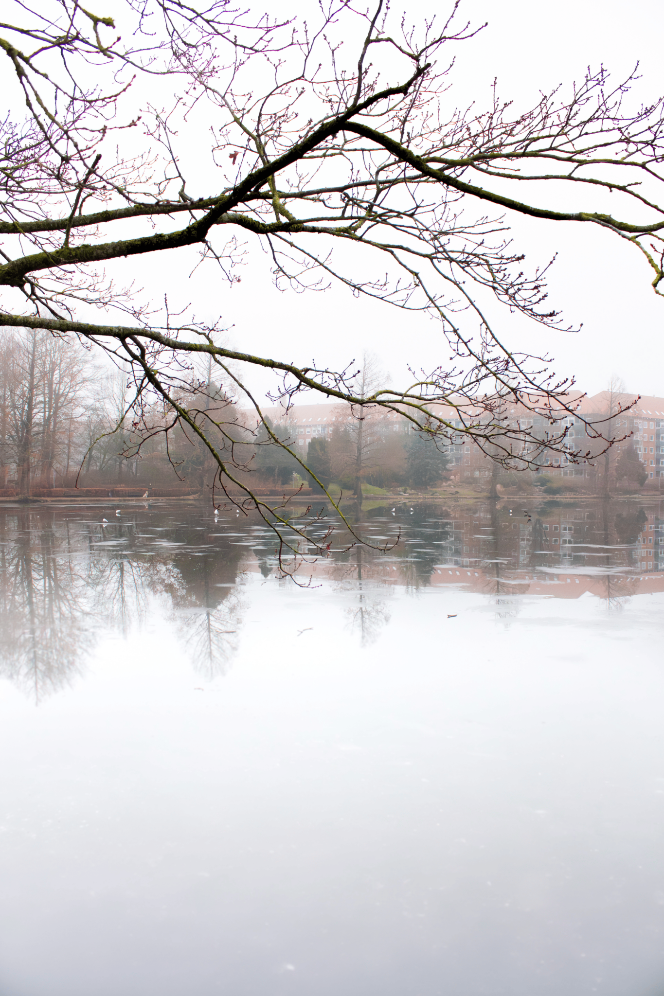 Cloudy Day - Grubak Photography